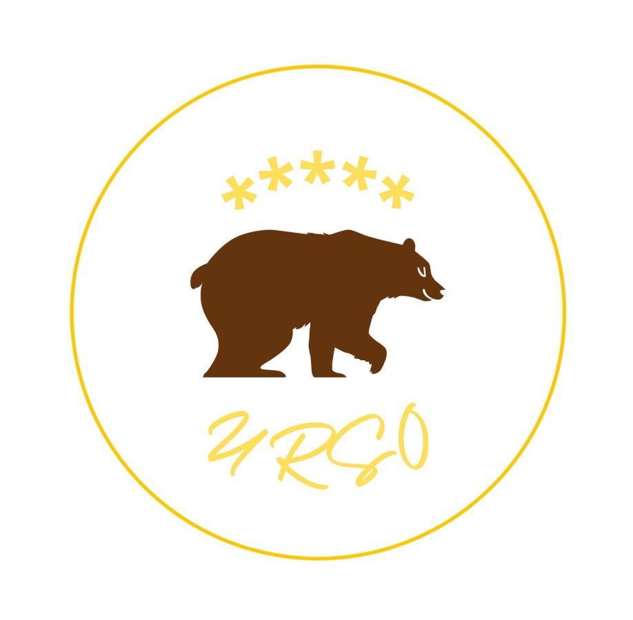 Apartment Urso Premium Przemysl