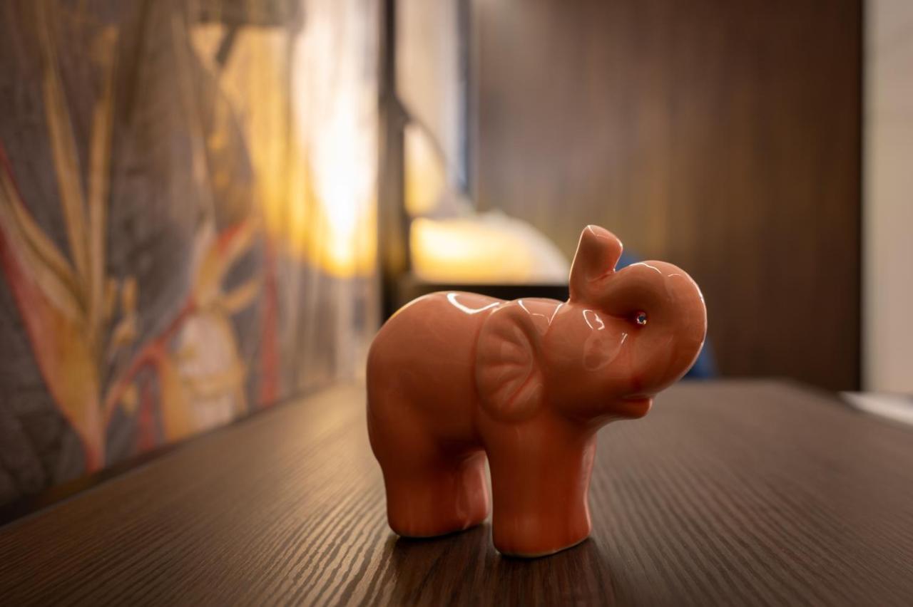 Urso Premium * Przemysl