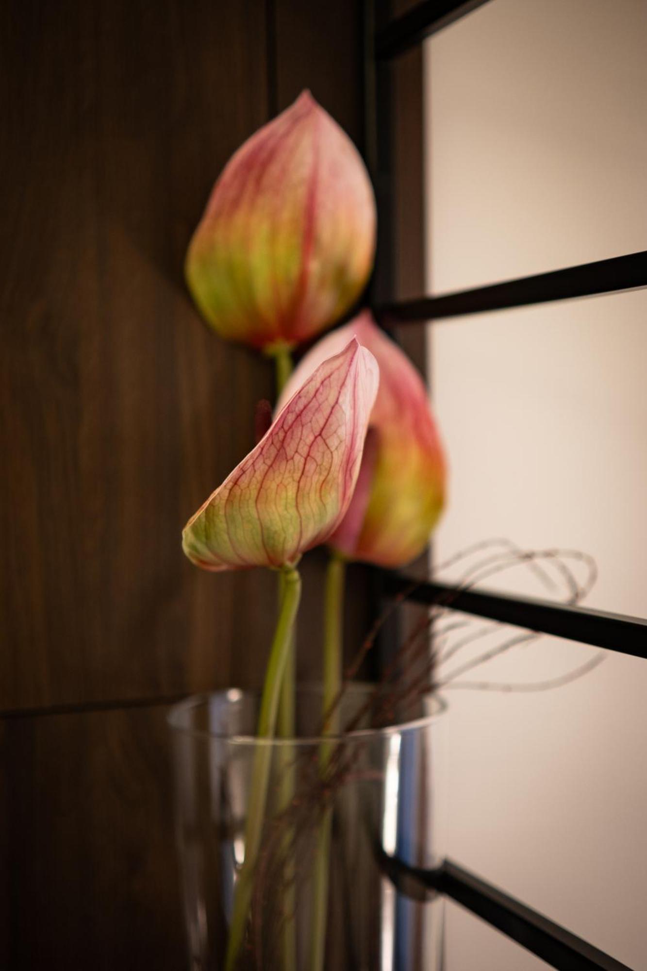 Urso Premium Apartment